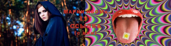 гидропоника Семикаракорск