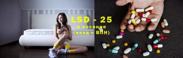 стафф Алзамай